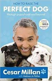 How to Raise the Perfect Dog - Millan, Cesar 0.40kg