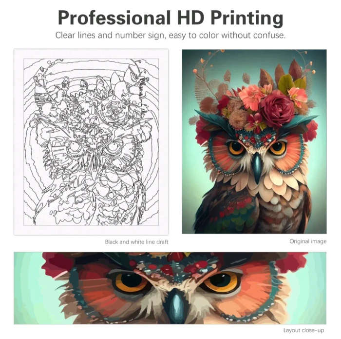 Paint by Numbers: Funky Owl