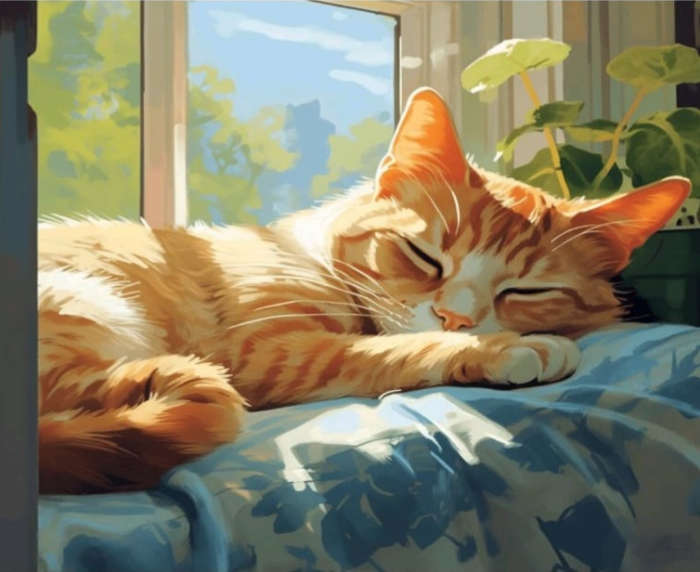 Paint by Numbers: Sleeping Cat