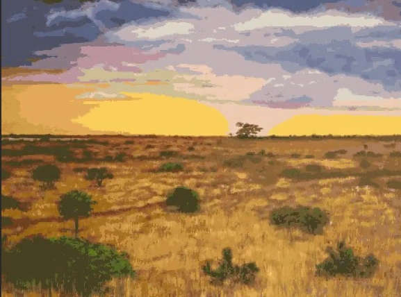 Paint by Numbers: The Golden Gaze