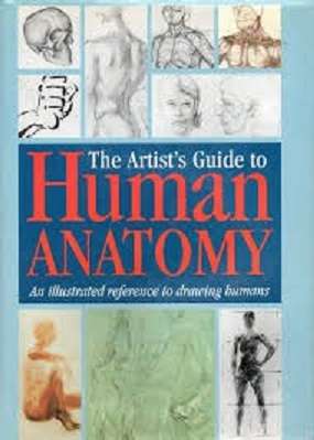The Artist's Guide to Human Anatomy: An Illustrated Reference to Drawing Humans