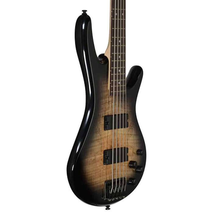 Ibanez GSR205SM 5-String Bass guitar - Natural Grey Burst