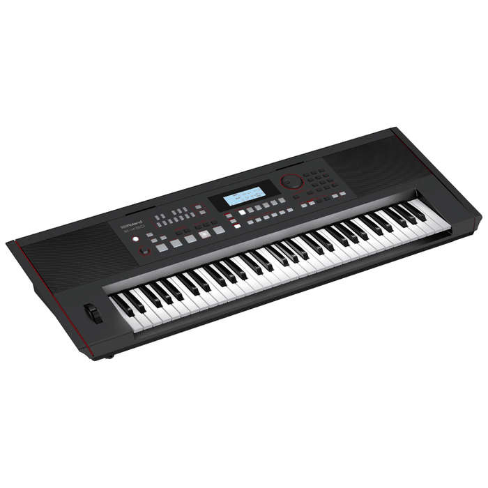 Roland E-X50 61-key Arranger Keyboard - Black