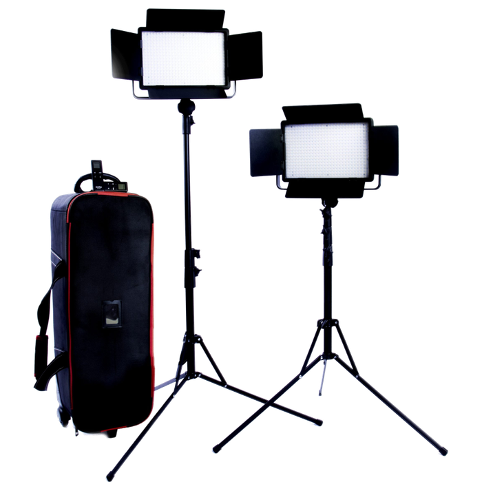 Godox LED 500 2 Light Kit