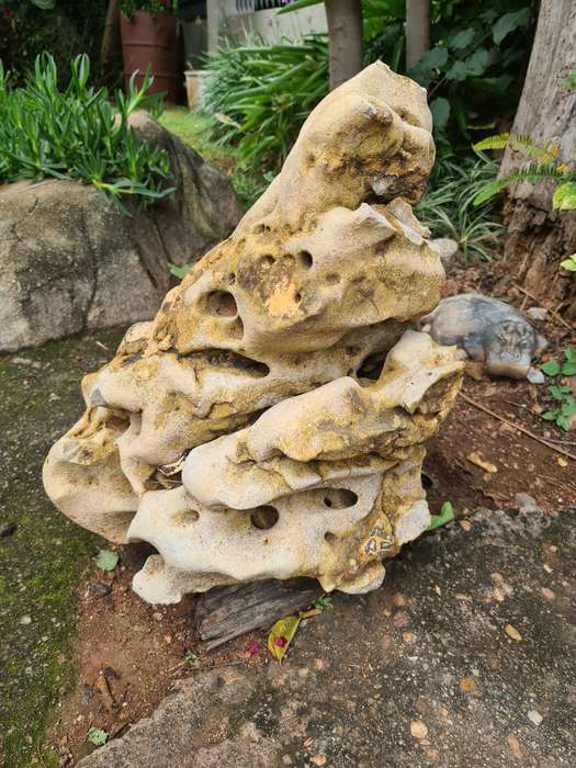 Dino Calcite, Assorted sizes