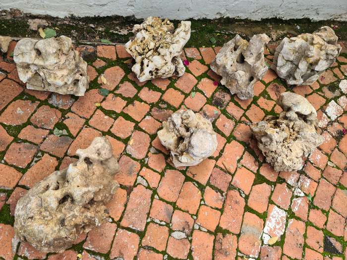 Dino Calcite, Assorted sizes