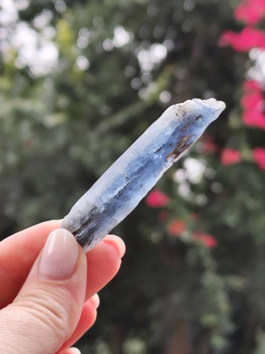 Blue Kyanite sticks, Zimbabwe, 5-9cm