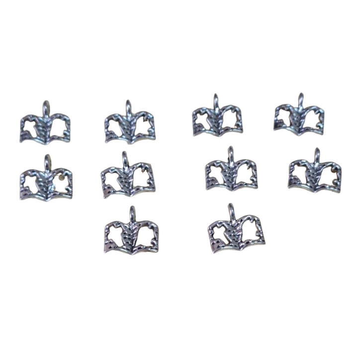 10 x Armour of God charm, Bible, nickel free, 14mm