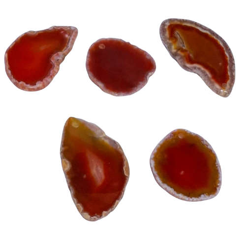 Agate slice pendant w hole, Tangerine color, 40-50mm