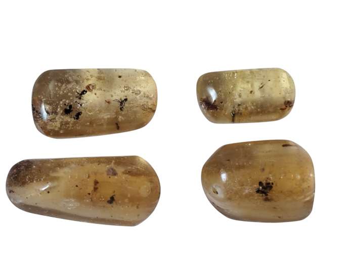 Polished Copal Amber with small insects inside, Madagascar, 1.7-2.9grams