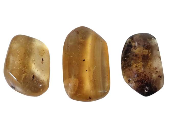 Polished Copal Amber with small insects inside, Madagascar, 6.9-8.5grams