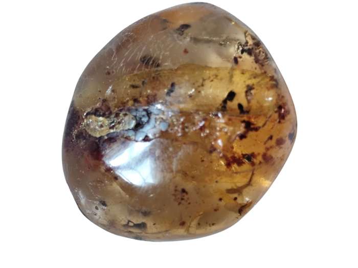 Polished Copal Amber with small insects inside, Madagascar, 9-10grams