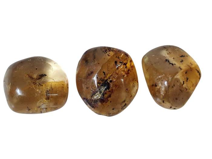 Polished Copal Amber with small insects inside, Madagascar, 9-10grams