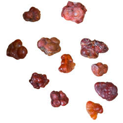 Rough Botryoidal agate, Malawi, 1-3cm long, 1-9grams