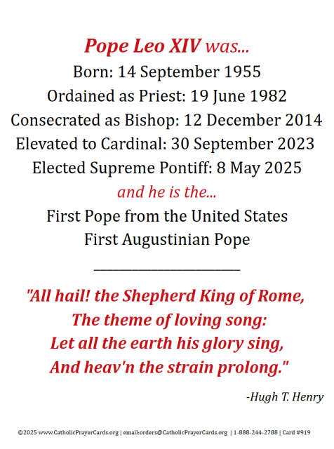Pope Leo XIV Holy Card