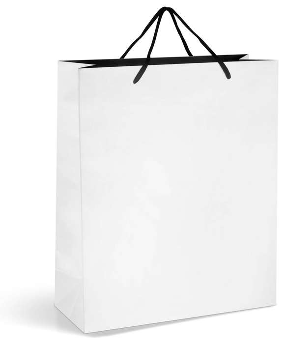 Dazzle Matte Gift Bag