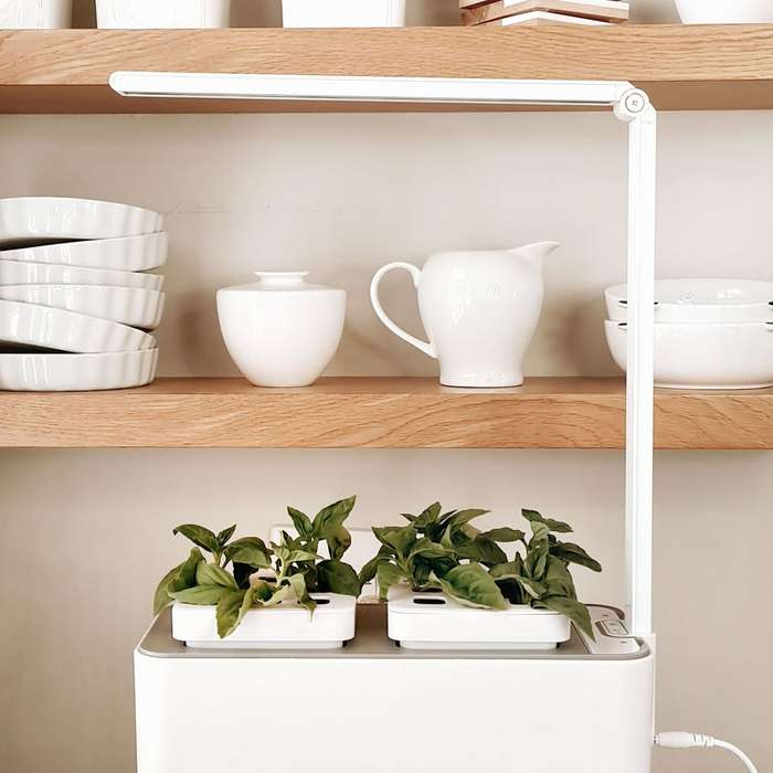 MicroGarden Hydroponic Smart Garden