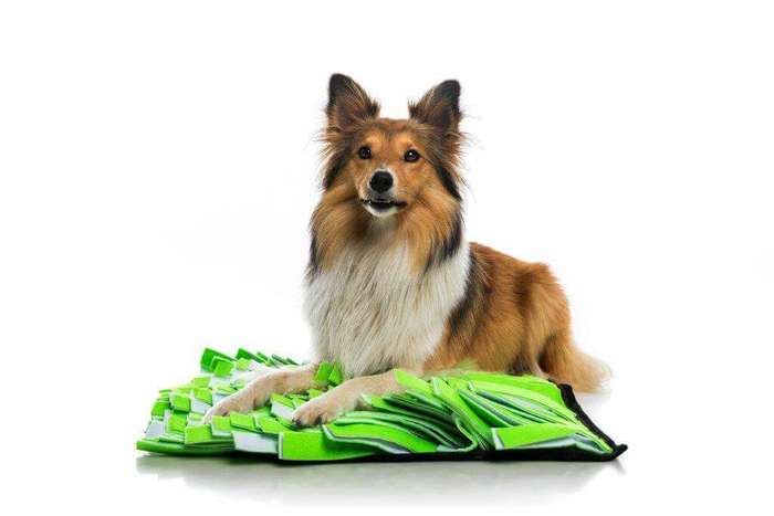 Dog Snuffle Mats
