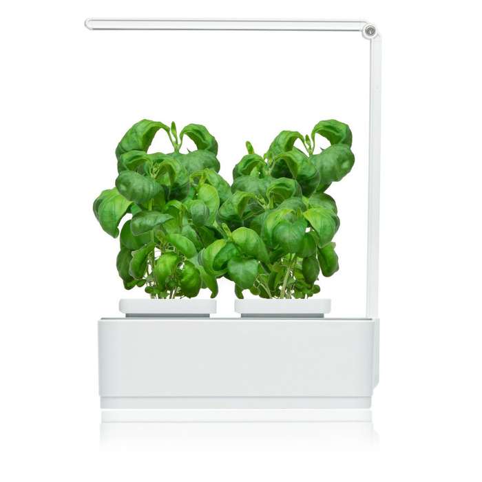 MicroGarden Hydroponic Smart Garden