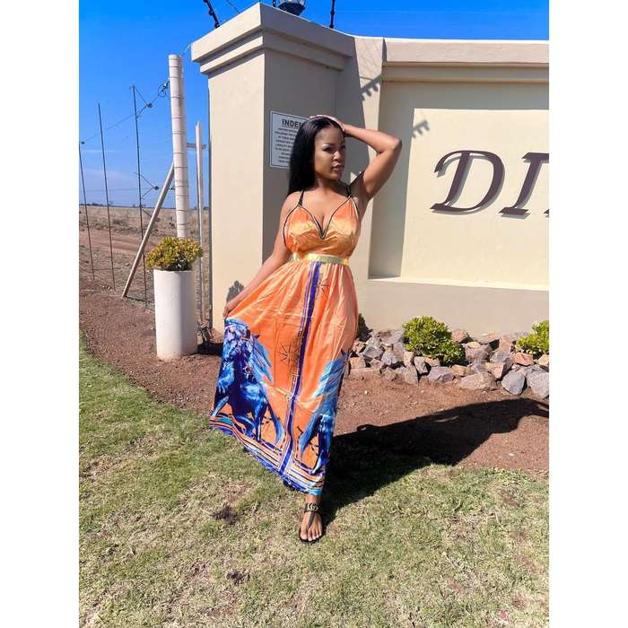 High Waisted Printed Sleeveless Maxi Dress