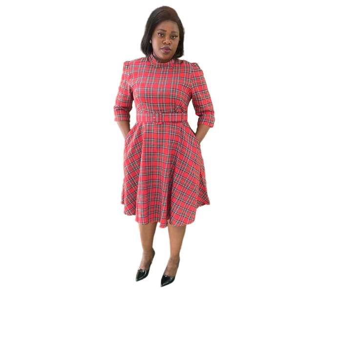 Plus Tartan Print Lantern Sleeve Dress.