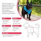 All Pets Solutions Dog Harness with Reflective Strip Blue - Medium