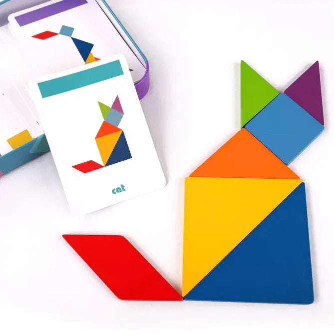 Shapes Puzzles in A Tin