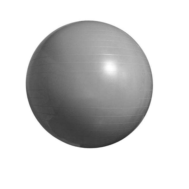 Pulse Active - Fitness Ball Yoga - Grey (65cm)