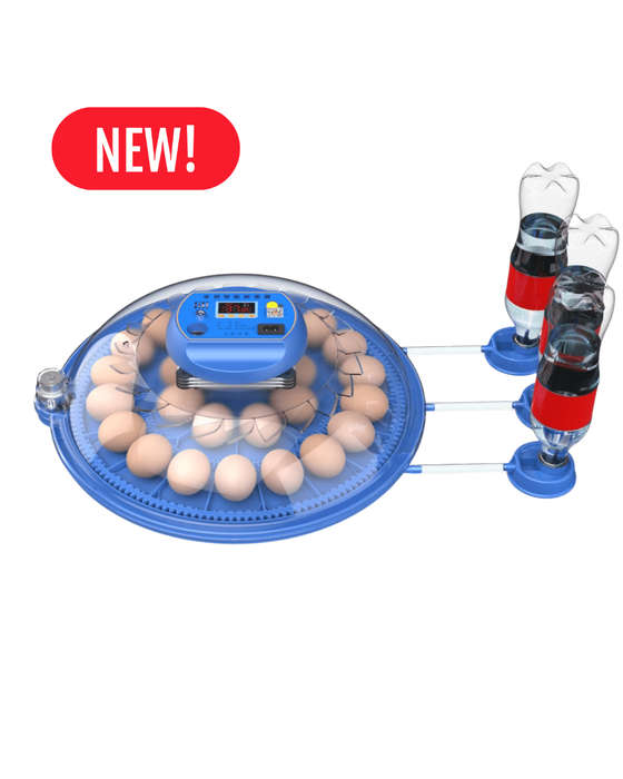 Orbit Range: 26 Egg Automatic Incubator (Dual Voltage)