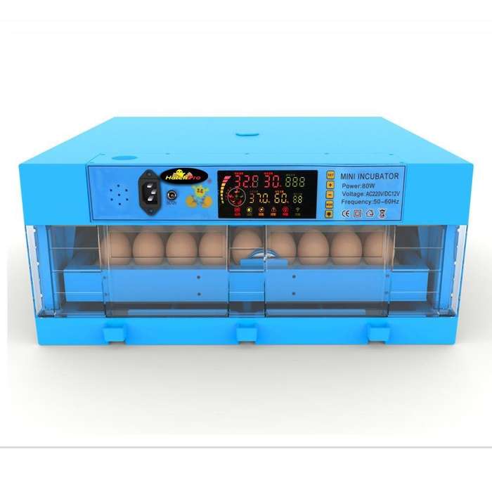 60 EGG INCUBATOR - DUAL VOLTAGE