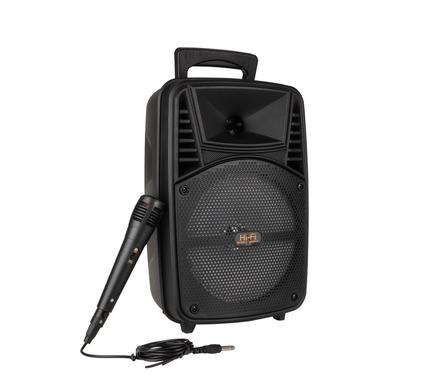 Wireless Speaker with Mic and Remote 37cm Portable Karaoke Machine for Adults & Kids