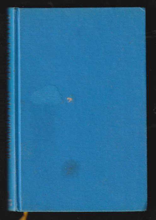Sole Survivor by Dean Koontz