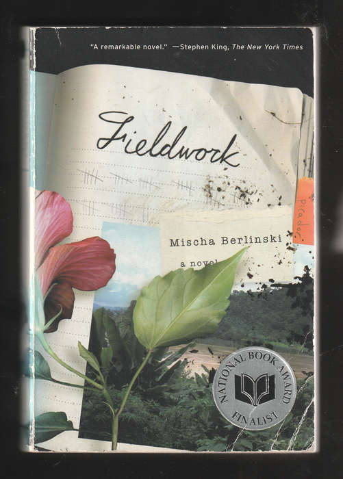 Fieldwork by Mischa Berlinski