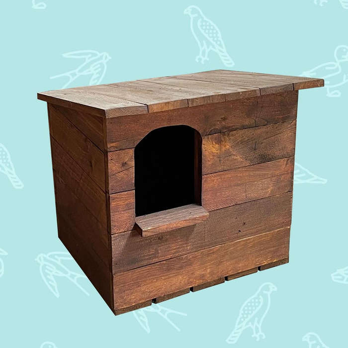 Owl Box - Barn Owl