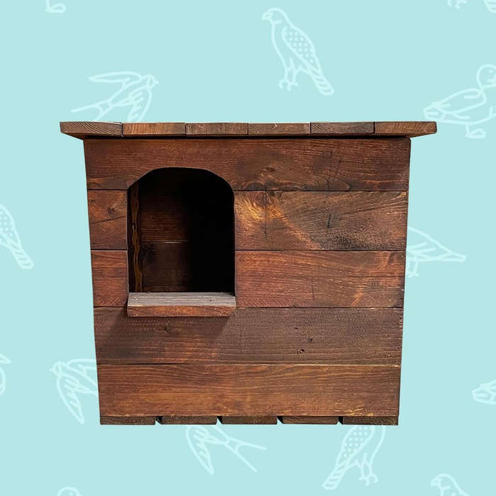 Owl Box - Barn Owl
