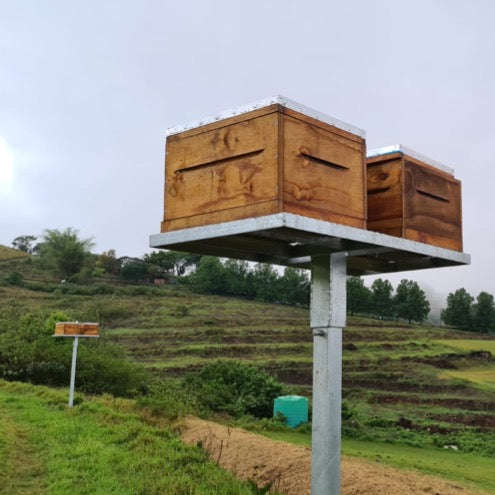 Hive Stand - elevated