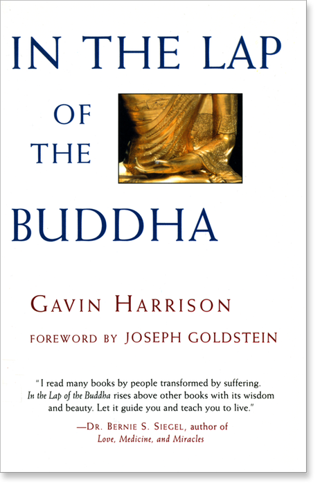 In the Lap of the Buddha - Gavin Harrison