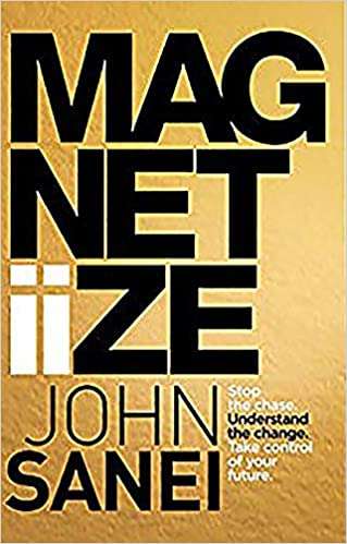 Magnitiize, Stop the Chase. Understand the Change. Take Control of Your Future - John Sanei