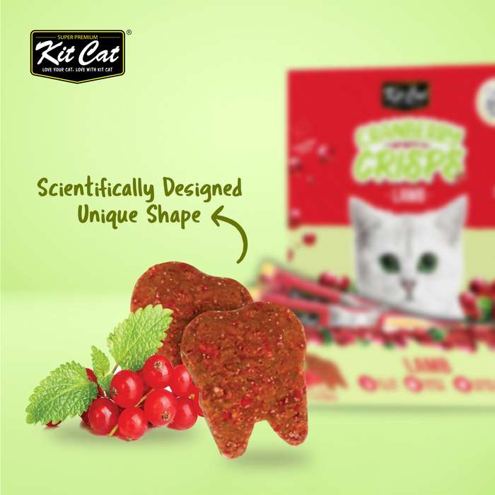 Kit Cat Cranberry Crisps (60g)