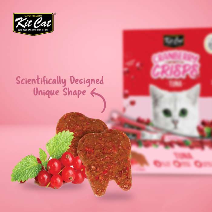 Kit Cat Cranberry Crisps (60g)