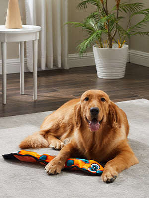 Outward Hound Durablez Snake LG