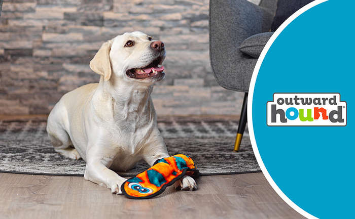 Outward Hound Durablez Snake LG