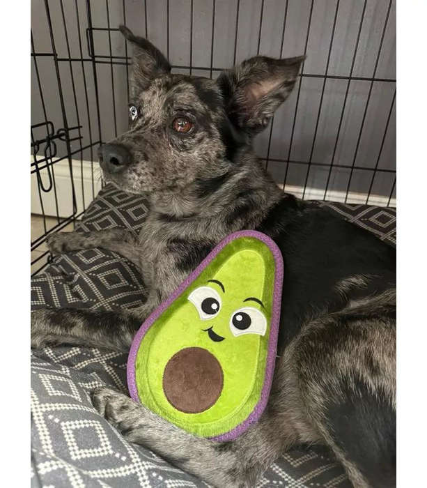 Outward Hound Tough Skinz Avocado