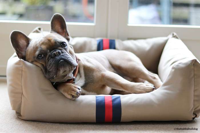 Rosewood Designer Water-resistant Pet Bed