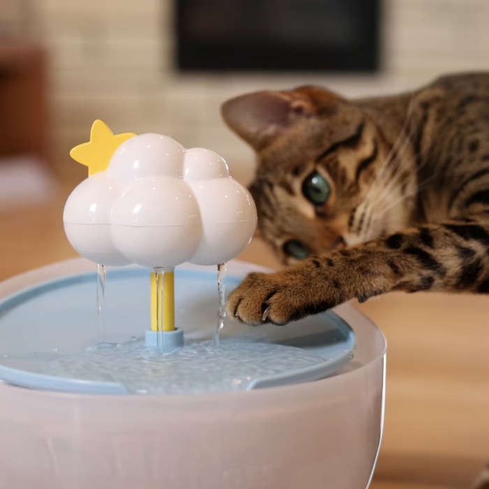 Catstages Purrfect Rain Cat Water Fountain