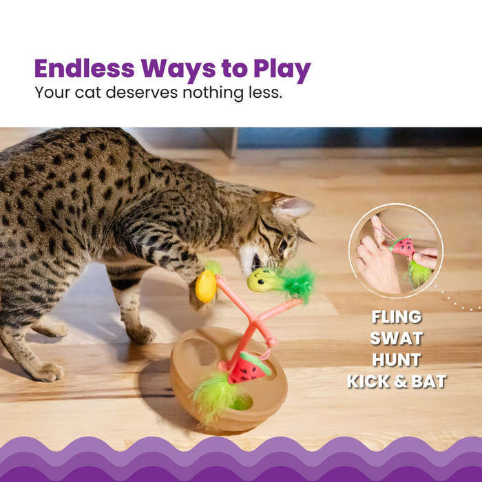 Catstages Hunt N' Wobble Fruit Bowl