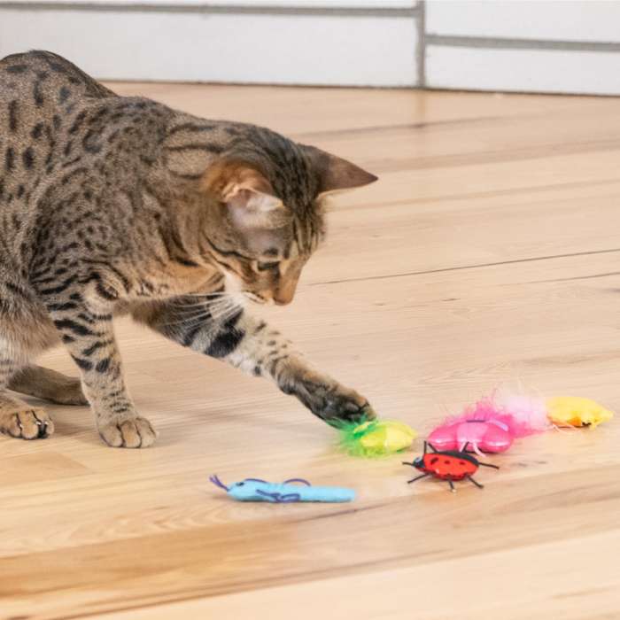 Catstages Cute As A Bug Plush Cat Toys, 6pk