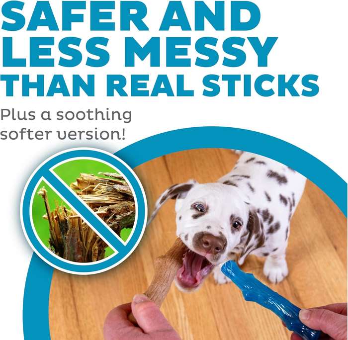 Puppy 2PK Dogwood SM