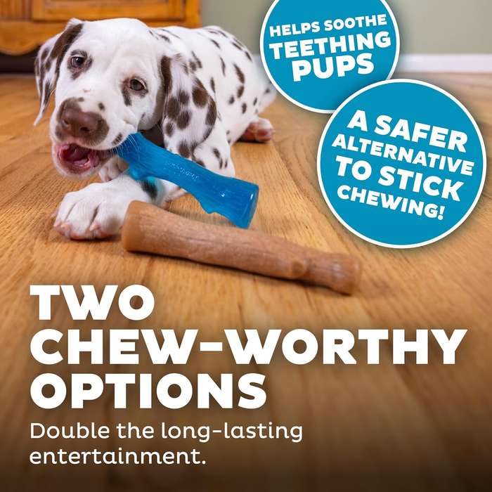 Puppy 2PK Dogwood SM