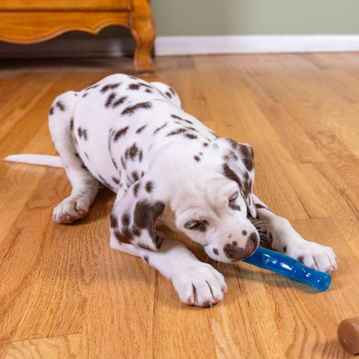 Puppy 2PK Dogwood SM